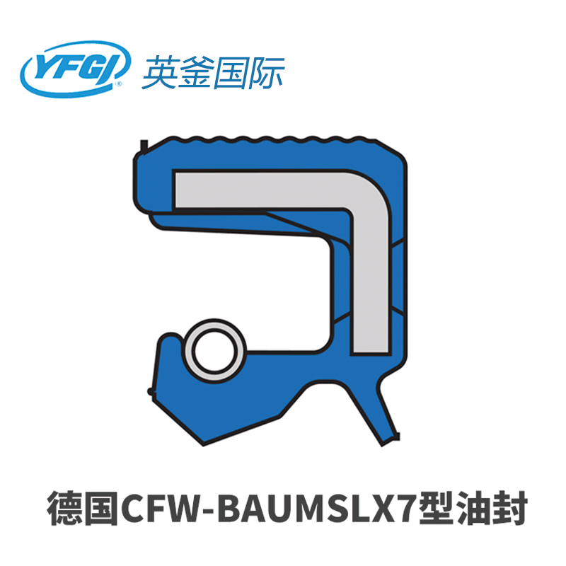 CFW-BAUMSLX7型油封