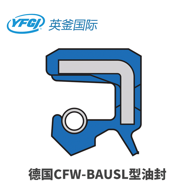 CFW-BAUSL型油封