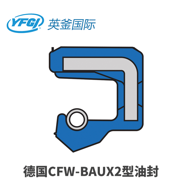 CFW-BAUX2型油封